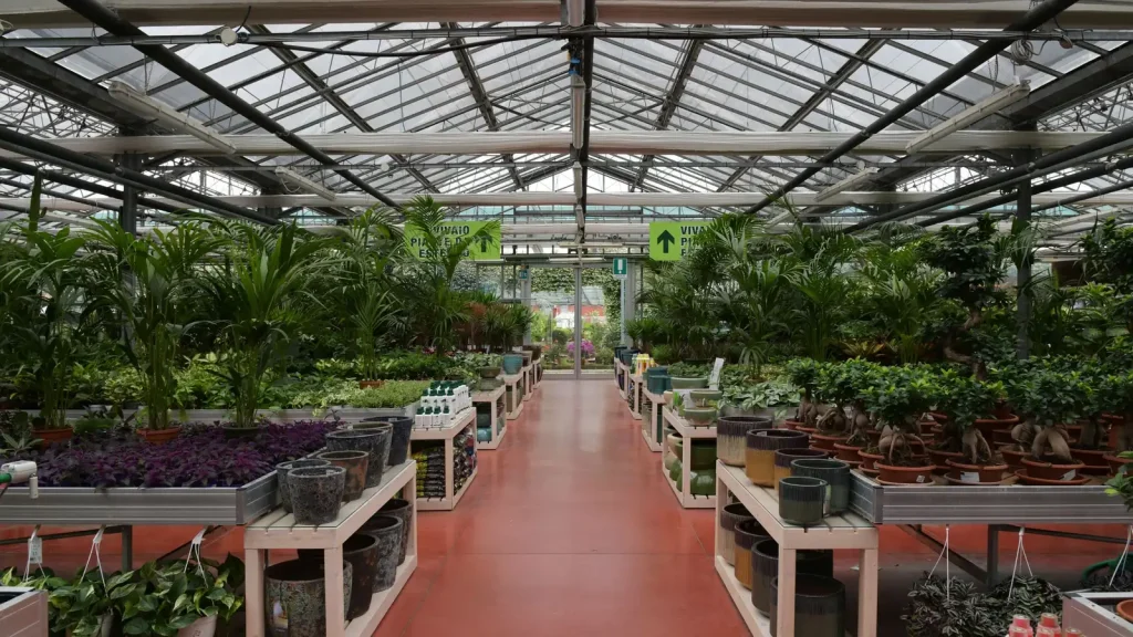 L'allée centrale d'une jardinerie sous serre, bordée de plantes en pots