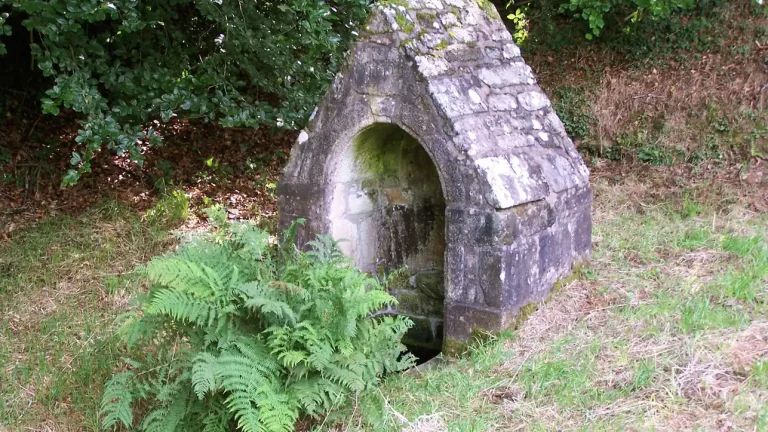 Une petite fontaine de dévotion en pierre dans la végétation bretonne