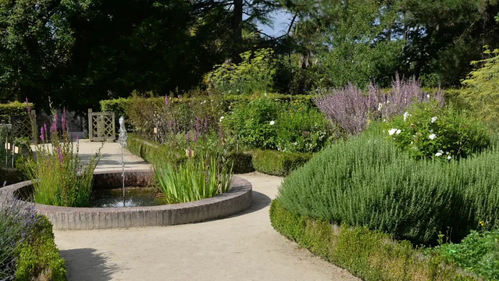 Le jardin de plantes médicinales de l'abbaye de Daoulas, allée et bassin