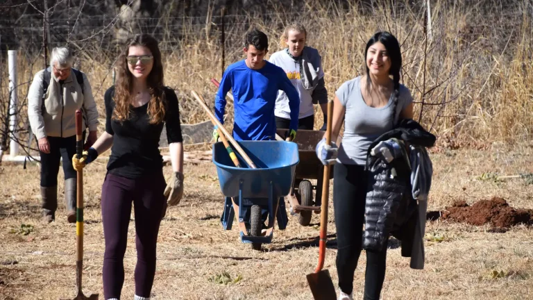 Un groupe de jeunes volontaires avec pelles et brouette sur un chantier de plantation