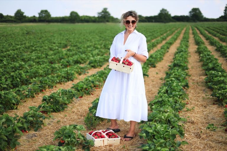 La fraise de Plougastel : histoire et patrimoine