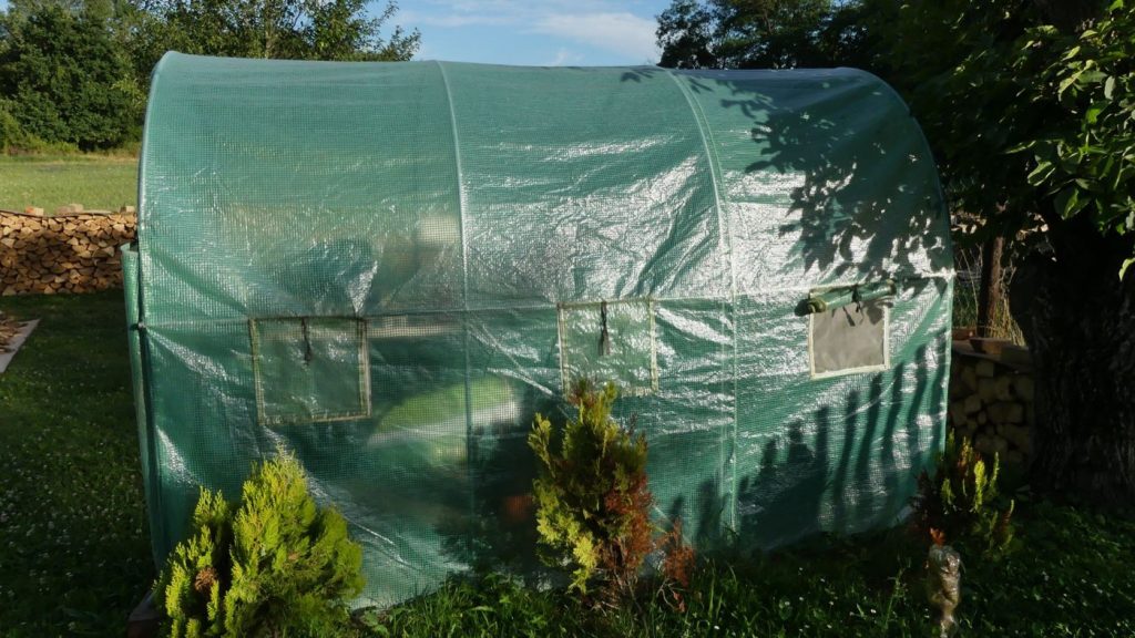 Comparatif serres de jardin pour amateurs : tunnel et verre