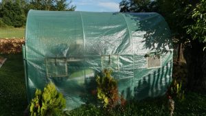 Comparatif serres de jardin pour amateurs : tunnel et verre